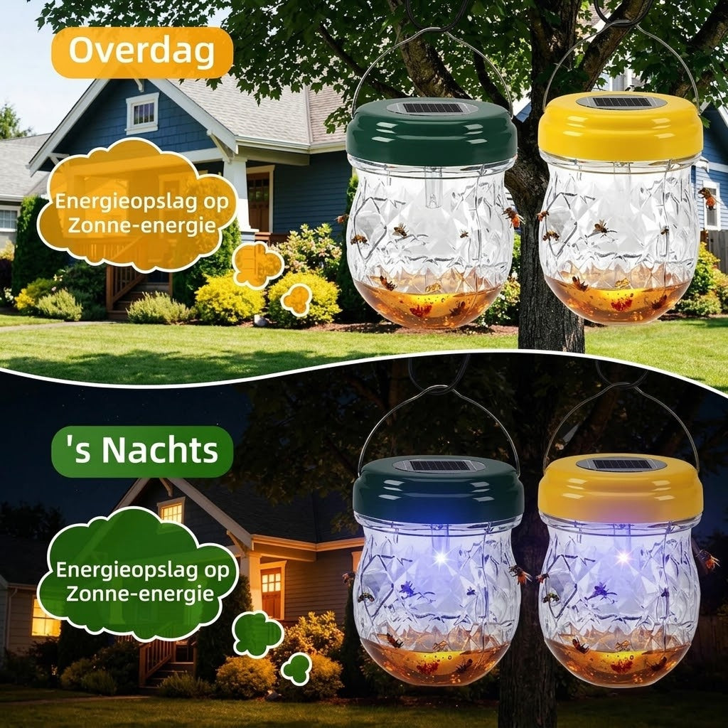 SunTrabex