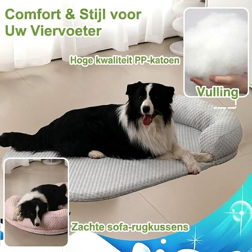 CoolasPet