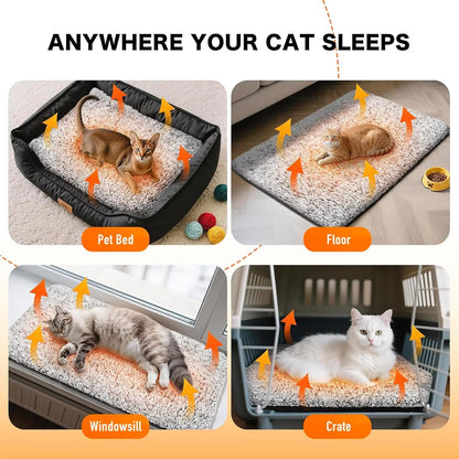CozixCat