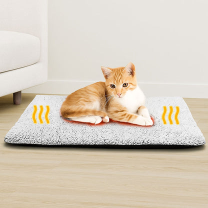 CozixCat