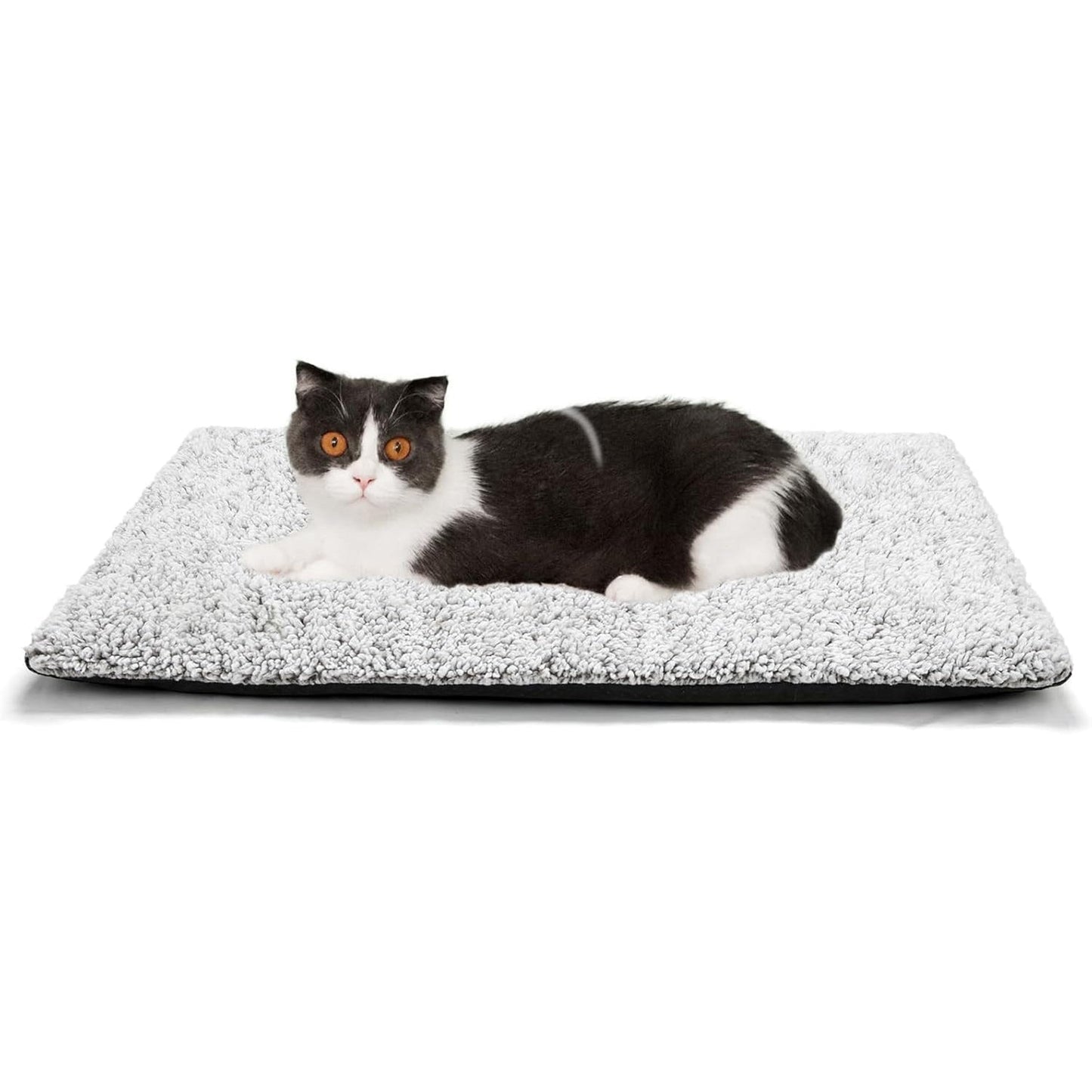 CozixCat