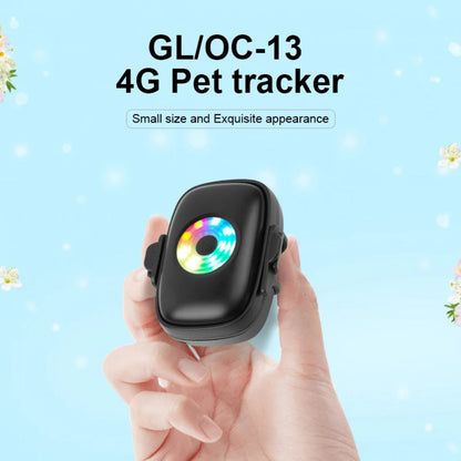CatMaxe GPS-halsband Voor Katten