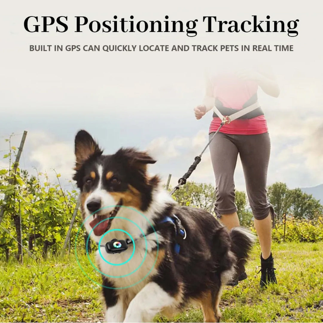 CatMaxe GPS-halsband Voor Katten