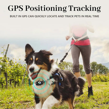 CatMaxe GPS-halsband Voor Katten