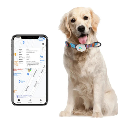 CatMaxe GPS-halsband Voor Katten