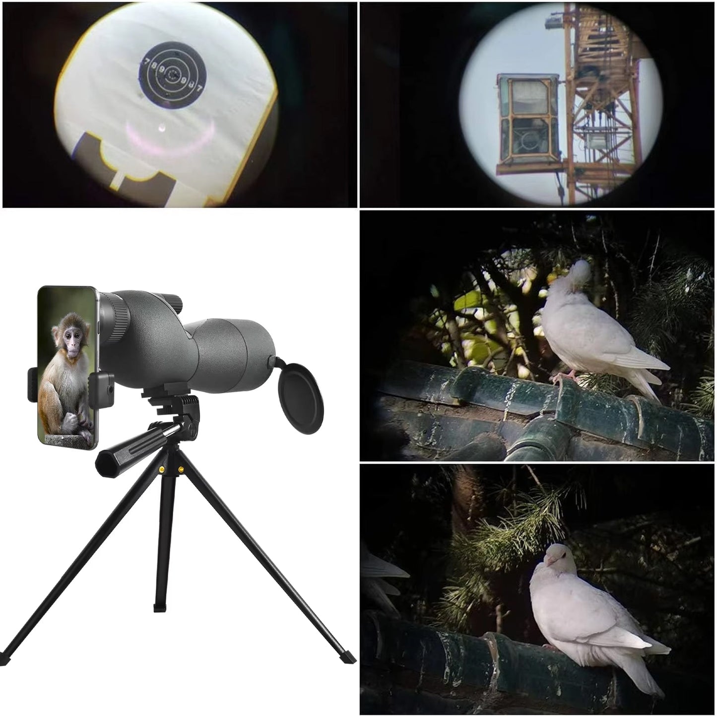 HitaScopi