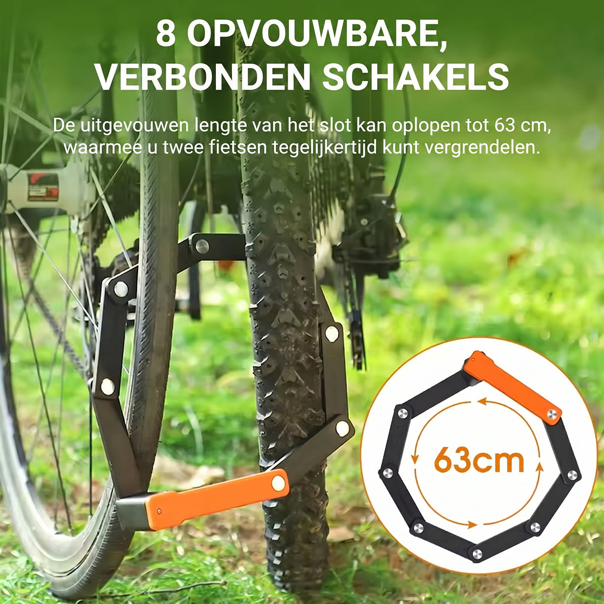 LoopaLock