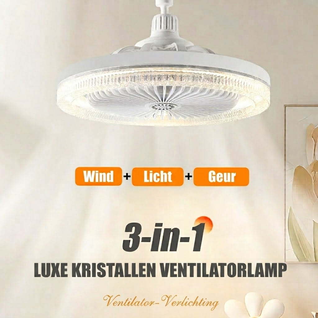 LumaoFan