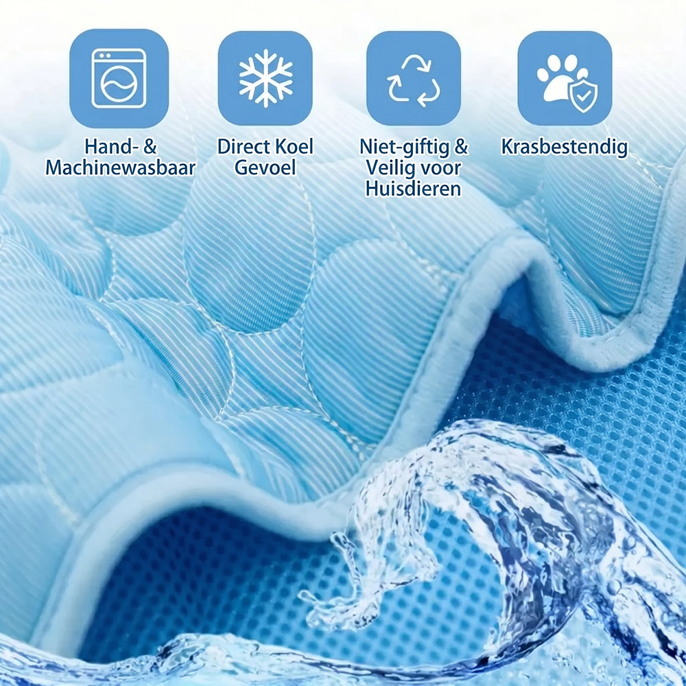 PawChilly
