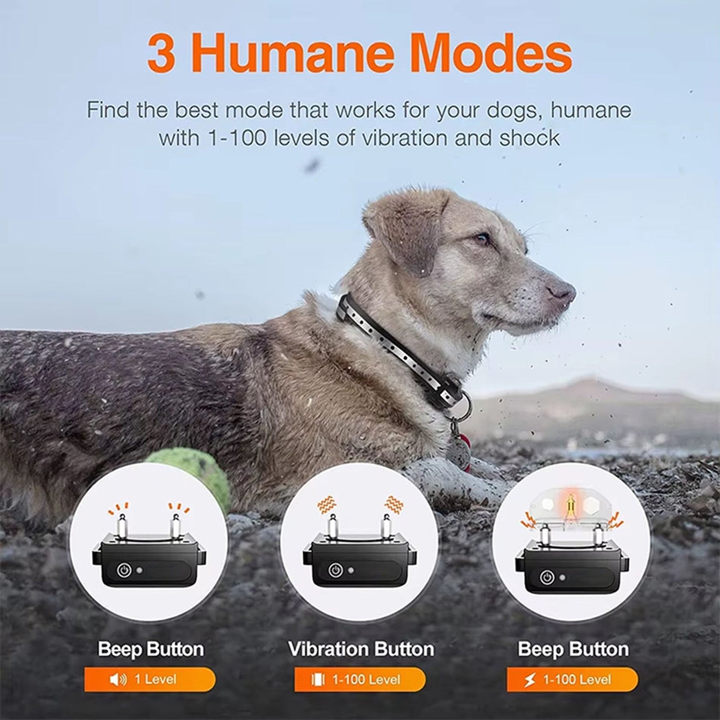Pawtopie Training-halsband Voor Honden
