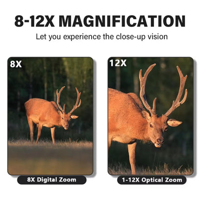 Zoomastor